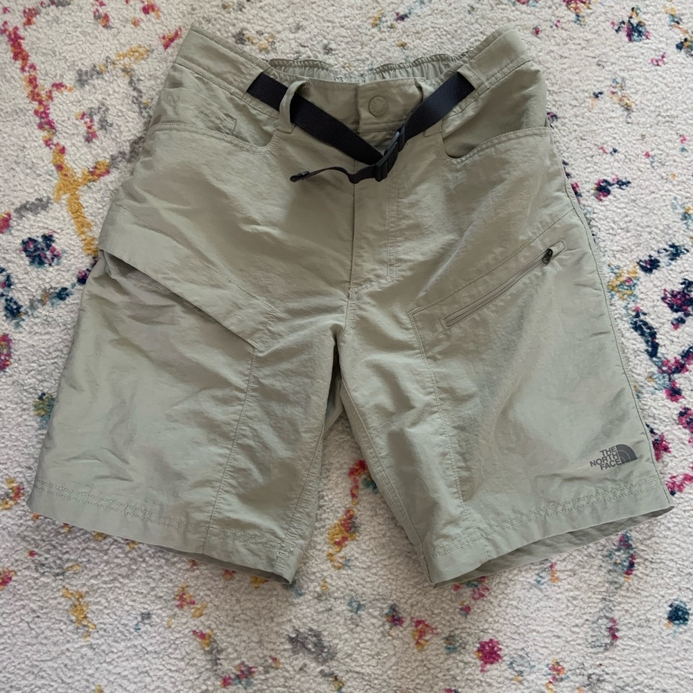 The North Face Mens Hiking Shorts
